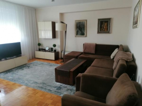 Comfort apartment in city center